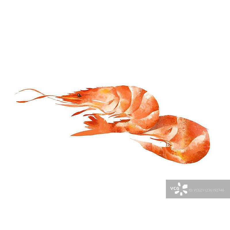 海鲜大虾图片素材