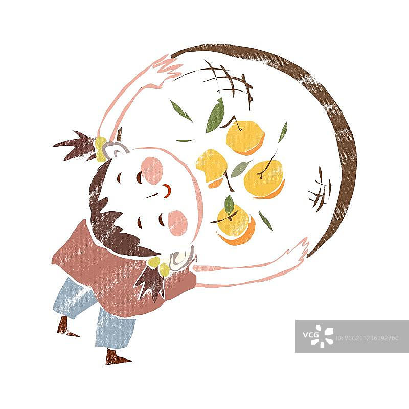 摘柿子图片素材