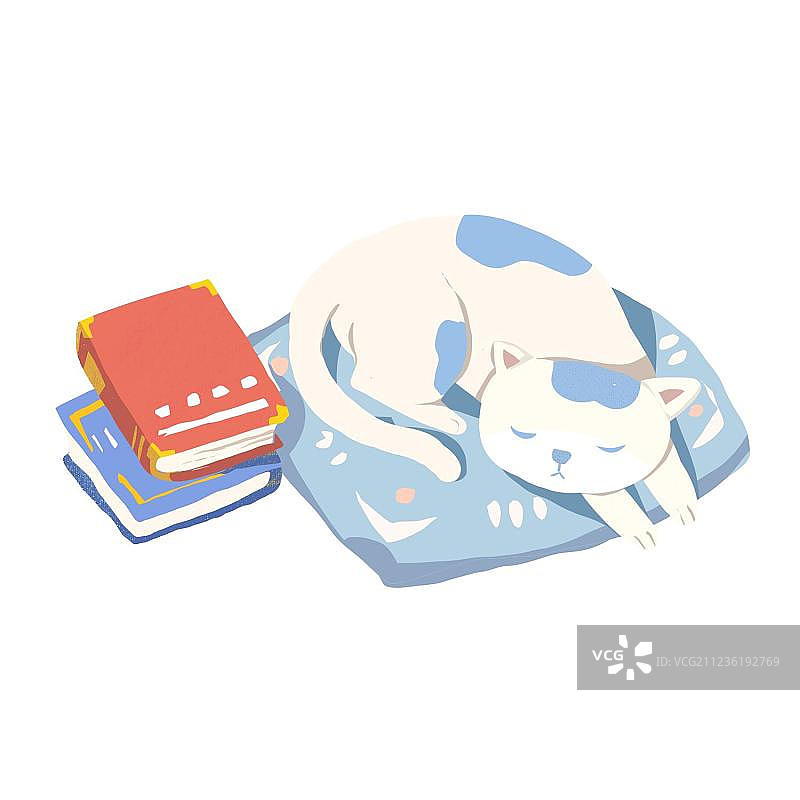 猫咪图片素材