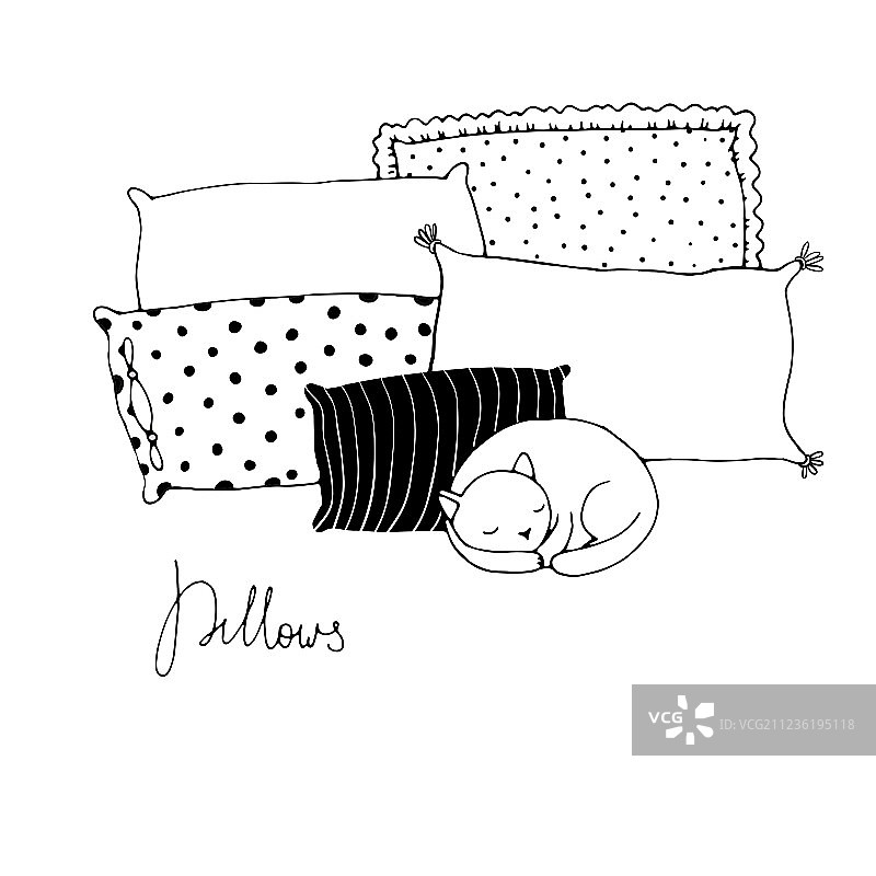 白色背景上的漂亮枕头和可爱猫咪图片素材