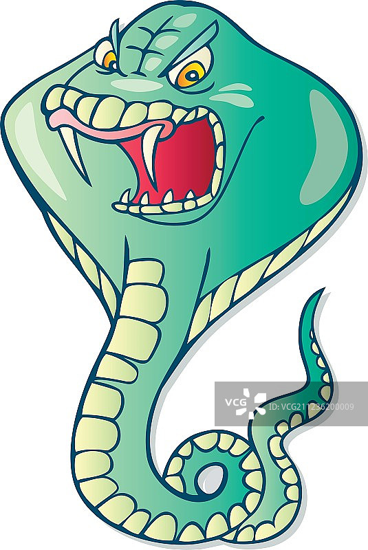 眼镜蛇图片素材