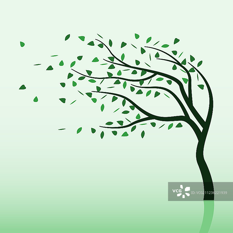 春季风暴与树木图片素材