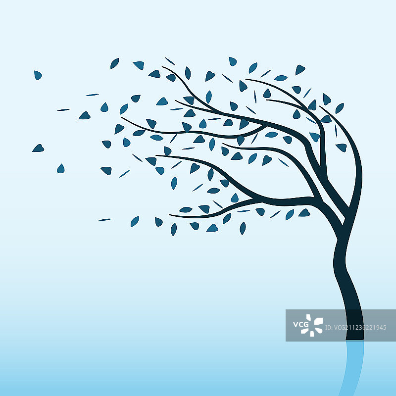 冬季风暴与树木图片素材