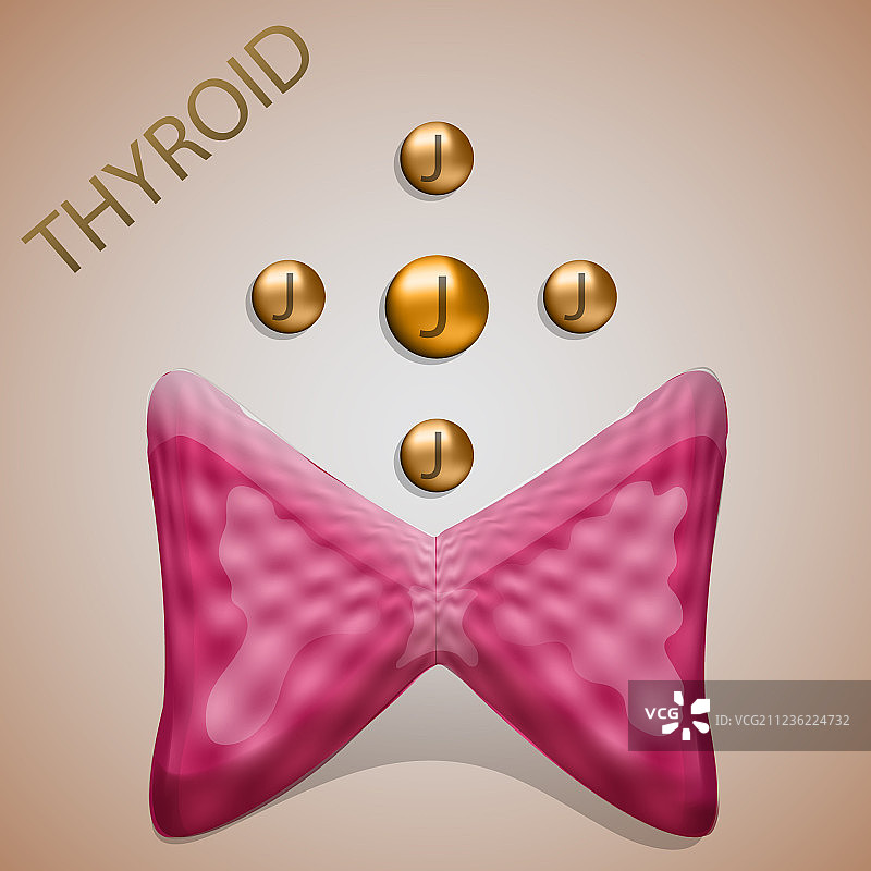 甲状腺碘图片素材