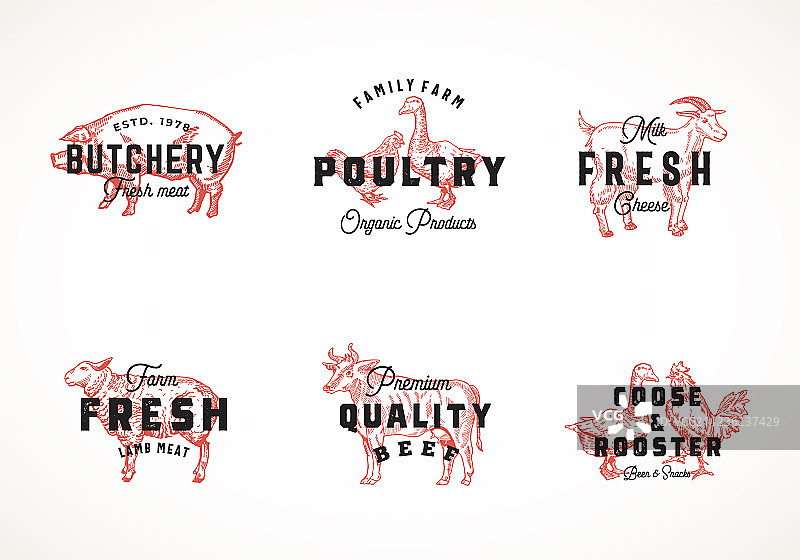 优质复古牛和家禽图片素材