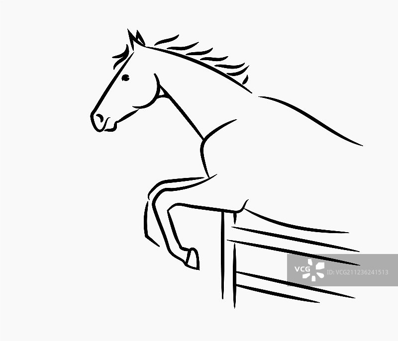 马头标志图片素材