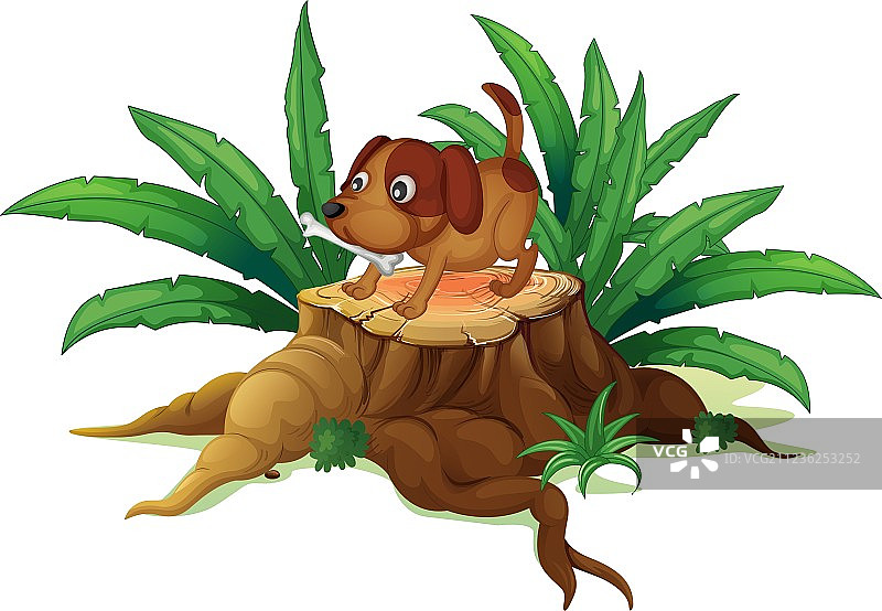 树桩上放着骨头的小狗图片素材