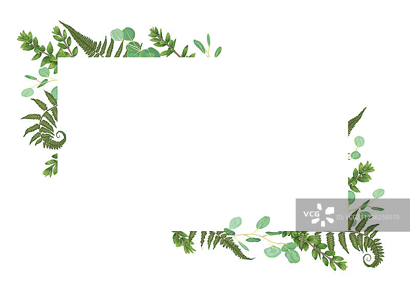 绿色水彩花卉设计的卡片图片素材