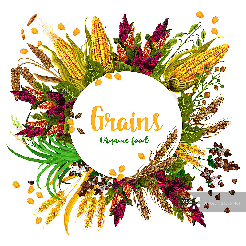 新鲜有机食品谷物海报图片素材