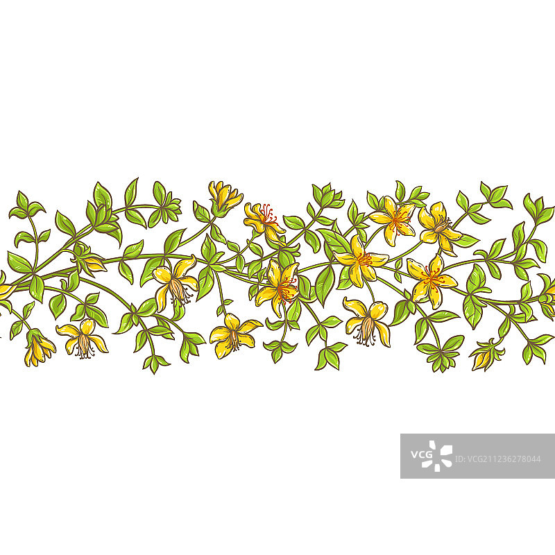 红豆蔻树枝图案图片素材