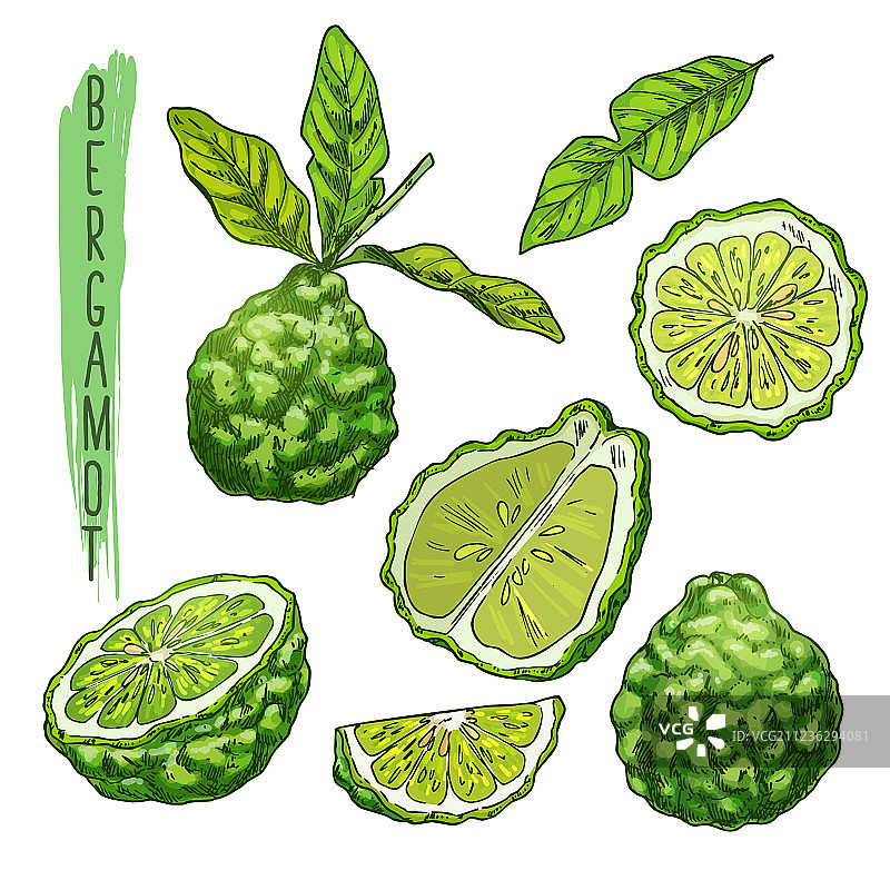 香柠檬或泰国青柠图片素材