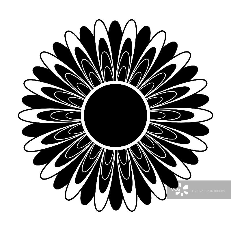 黑白花朵剪影。图片素材