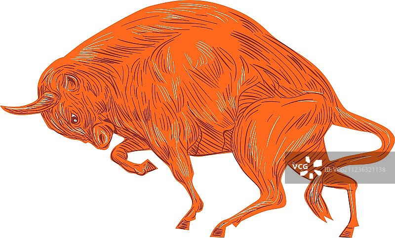 European Bison充电图图片素材