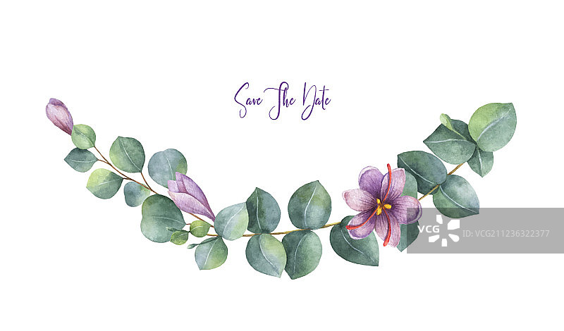 绿色桉树水彩花环图片素材