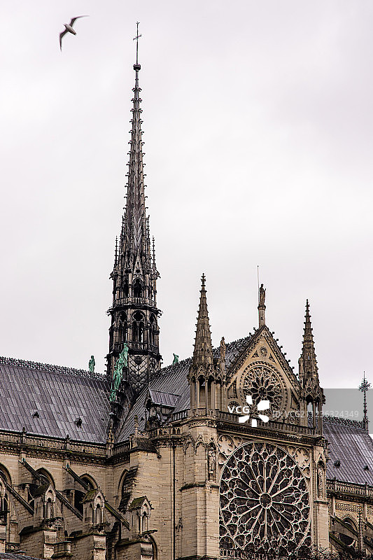 巴黎圣母院尖顶图片素材