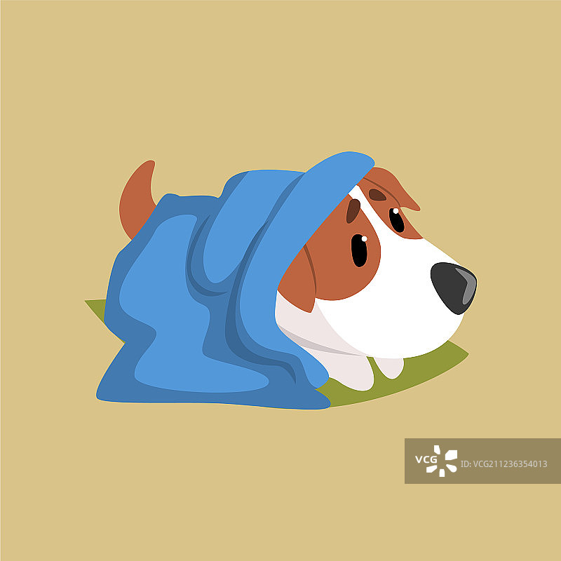 躺在地板上的杰克罗素犬小狗角色图片素材