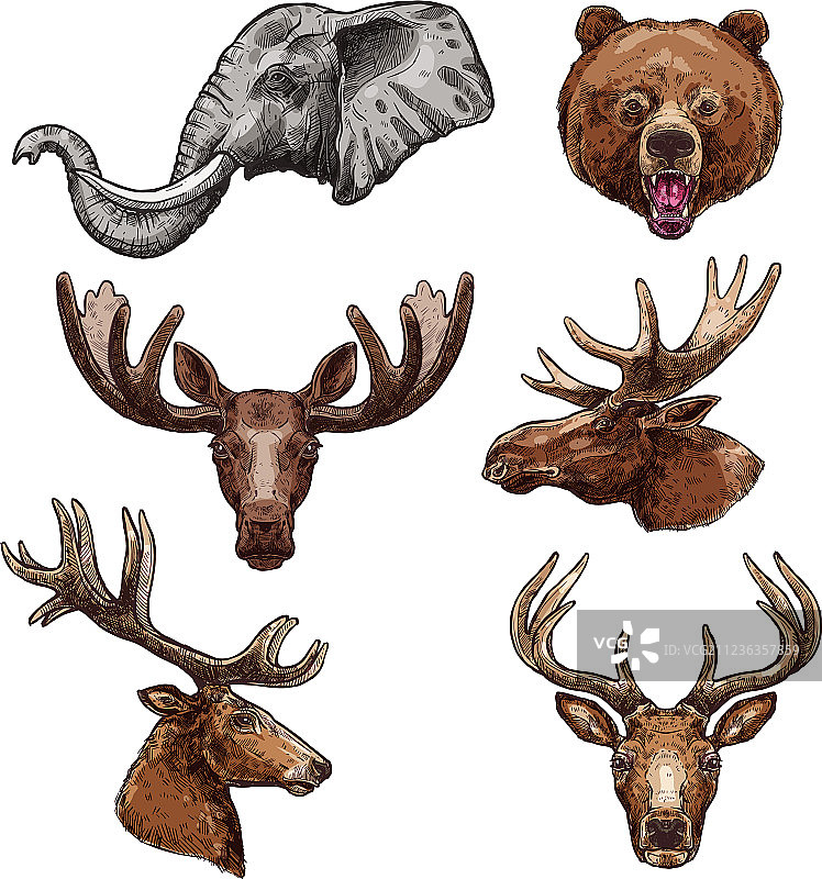非洲动物和森林哺乳动物素描图片素材