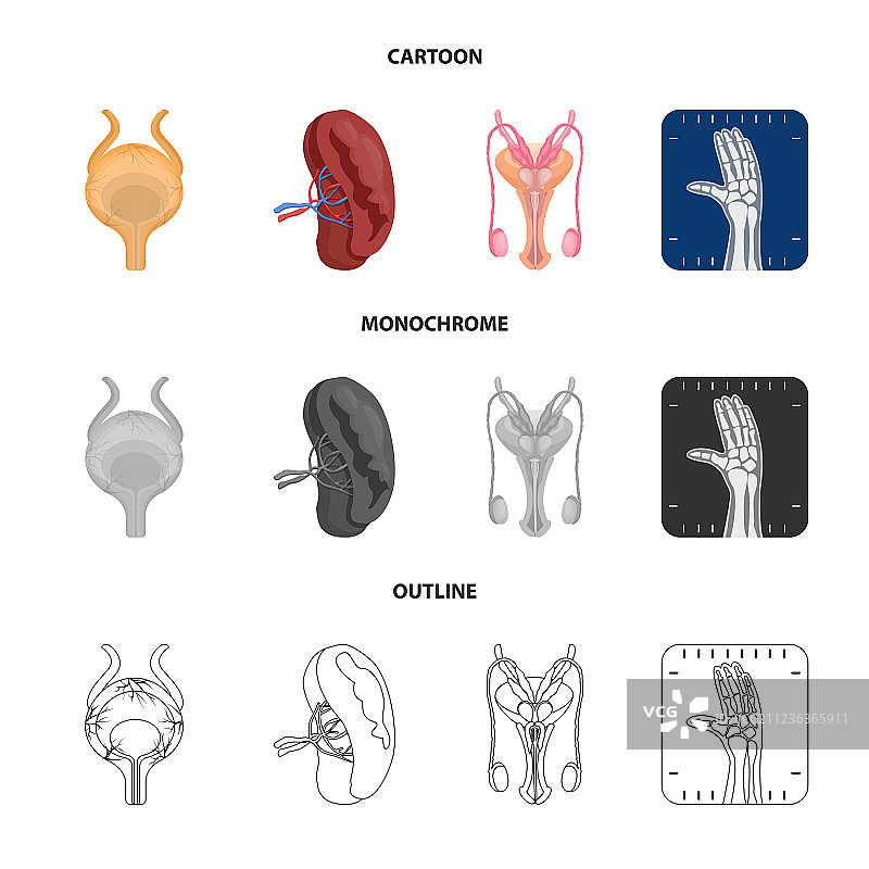 人体与身体标志合集图片素材