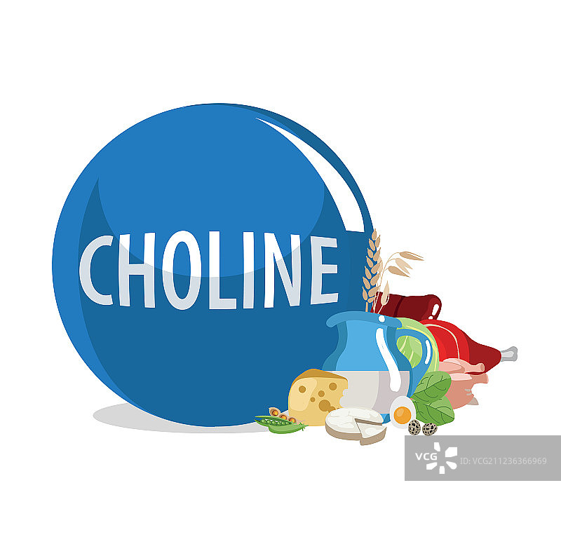 胆碱图片素材