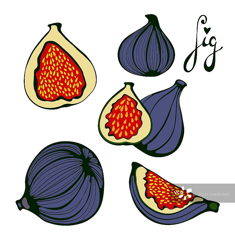 手绘无花果生态食品图片素材