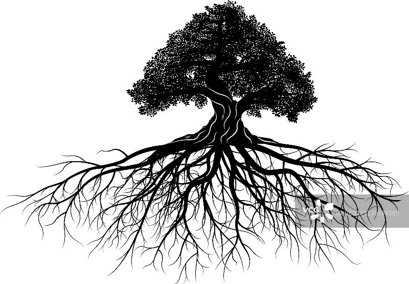 树的轮廓图片素材