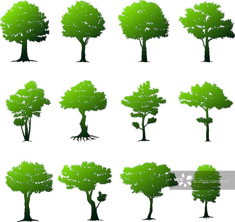 树木合集图片素材