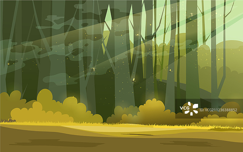 阳光明媚的森林背景图片素材