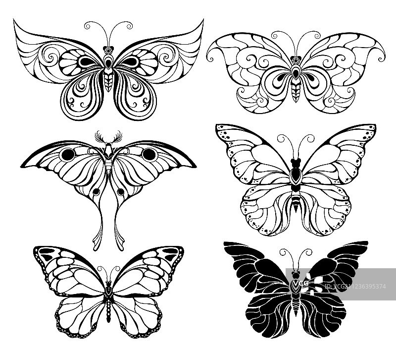 艺术蝴蝶图片素材