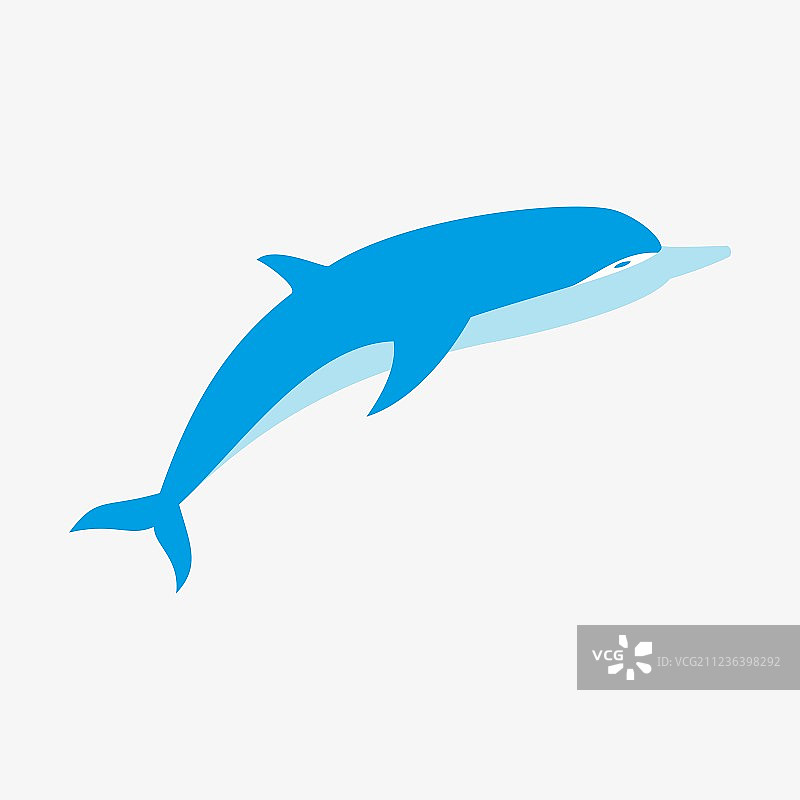 海豚图片素材