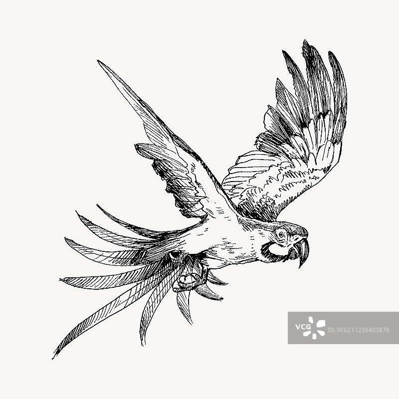 手绘黑白复古异域风情素描图片素材