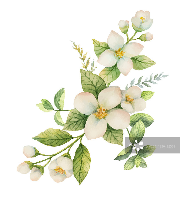 水彩茉莉和薄荷花环图片素材