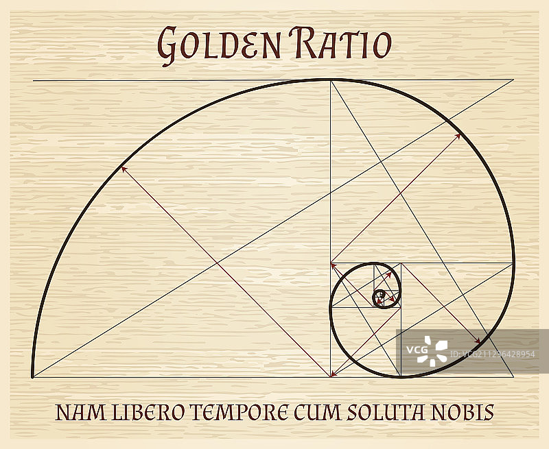 斐波那契螺旋复古概念图片素材