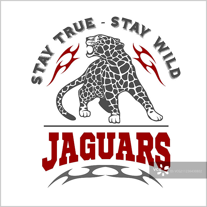 美洲虎和火焰标志图片素材