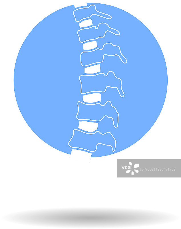 人类脊柱图片素材