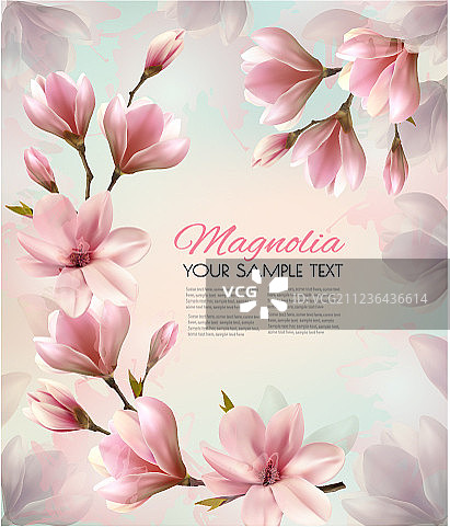 美丽的抽象春天背景图片素材