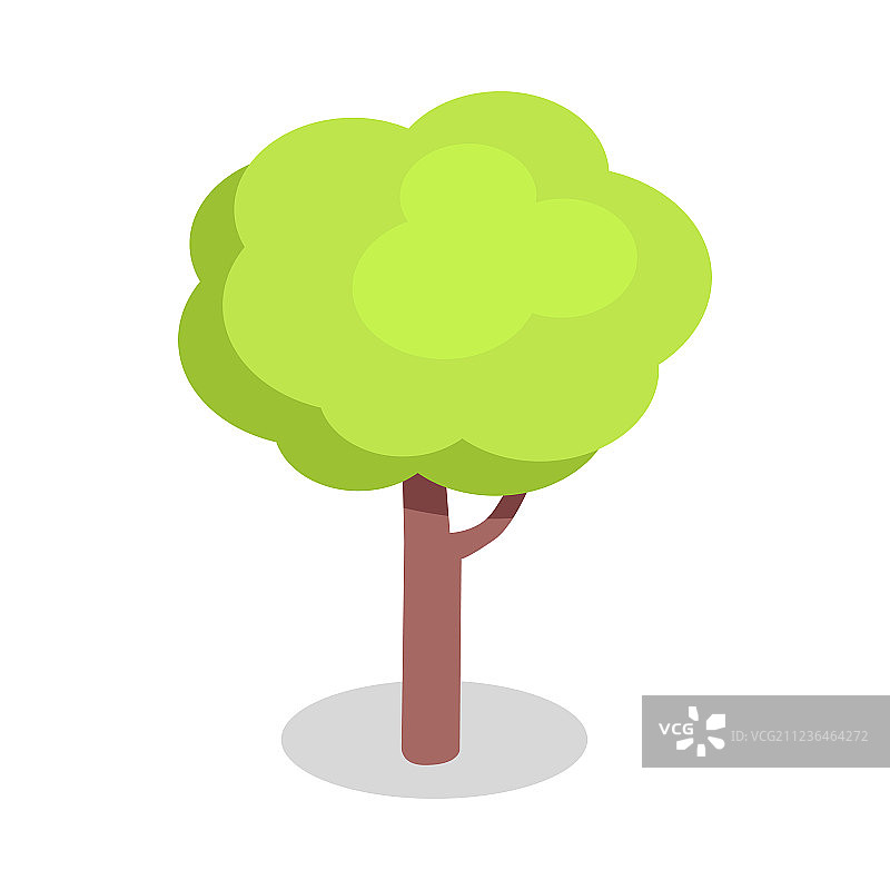 茂密树冠和棕色树干的绿树图片素材