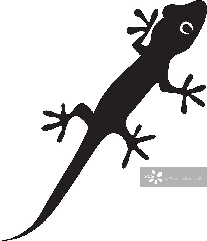 蜥蜴变色龙壁虎黑色剪影图片素材