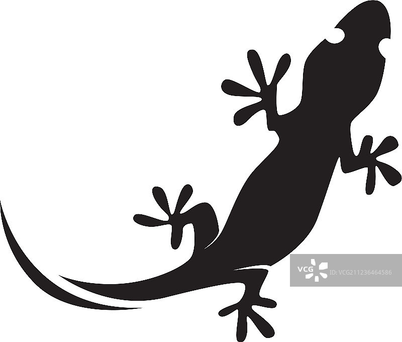 蜥蜴变色龙壁虎黑色剪影图片素材