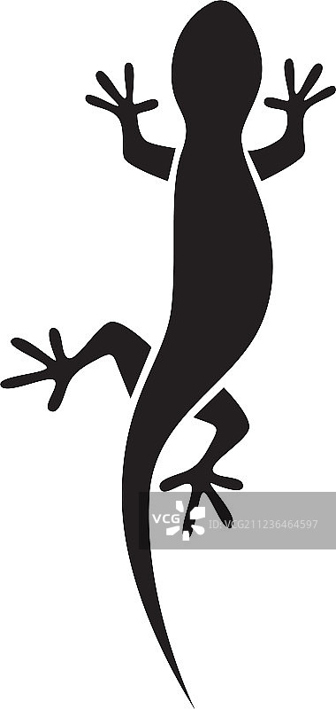 蜥蜴变色龙壁虎黑色剪影图片素材