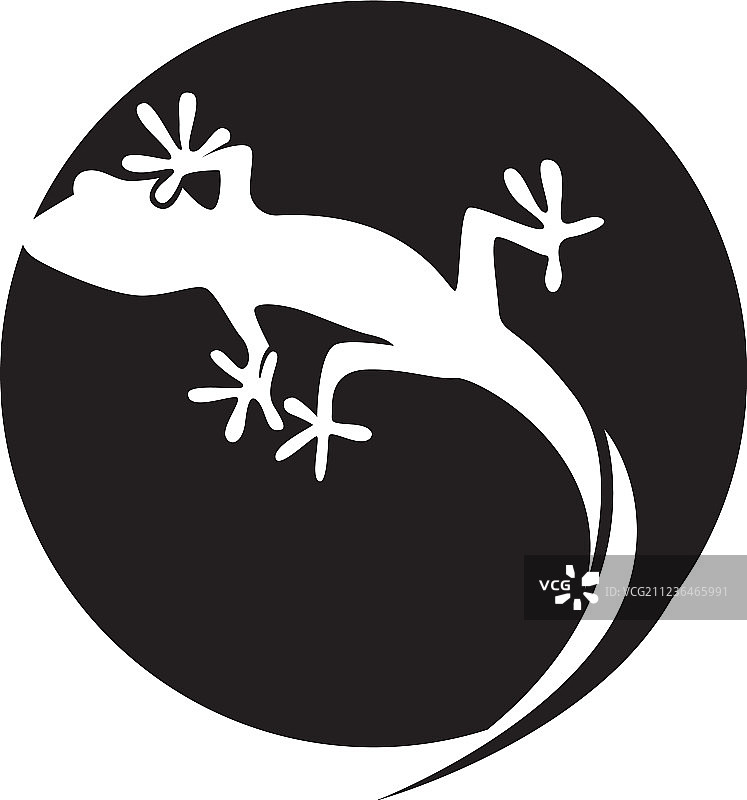 蜥蜴变色龙壁虎黑色剪影图片素材