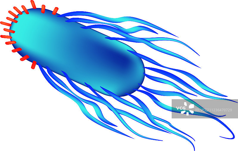 沙门氏菌的结构图片素材