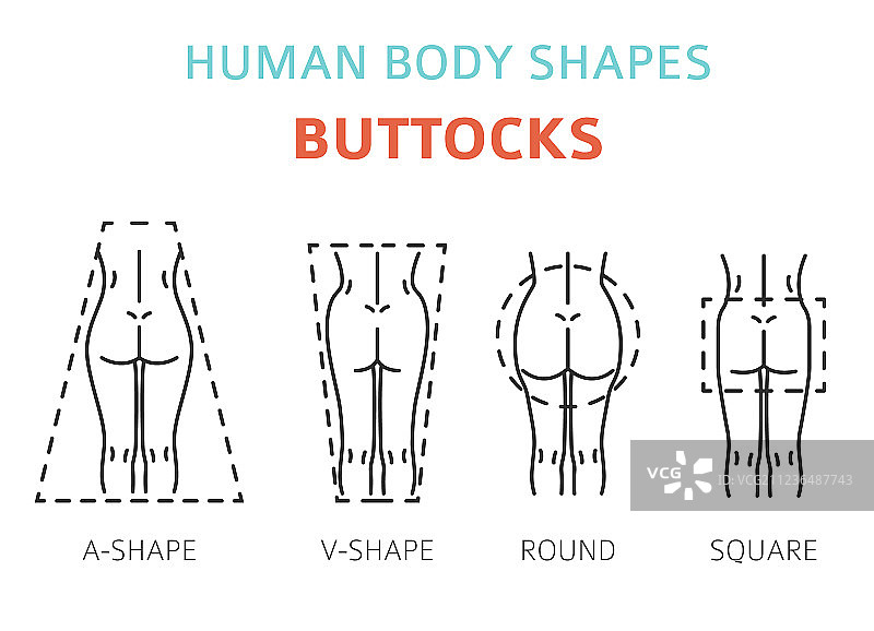 女性臀部体型图图片素材
