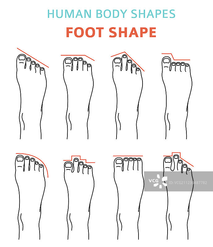 人体脚型图标集图片素材