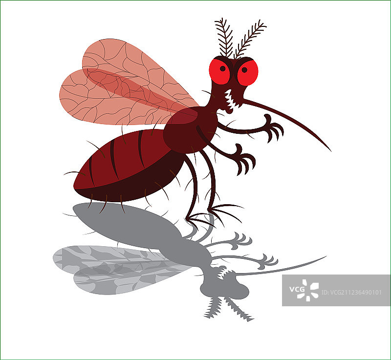 蚊子图片素材