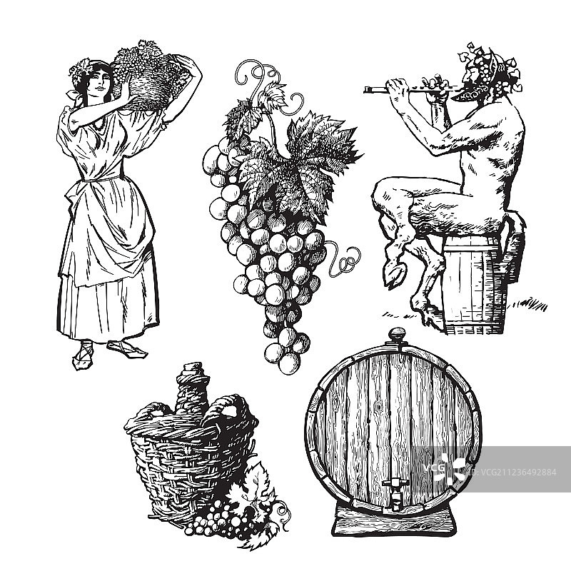 手绘葡萄酒设计元素合集图片素材