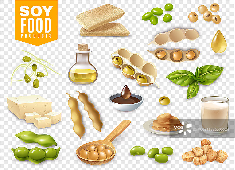 大豆食品透明套装图片素材