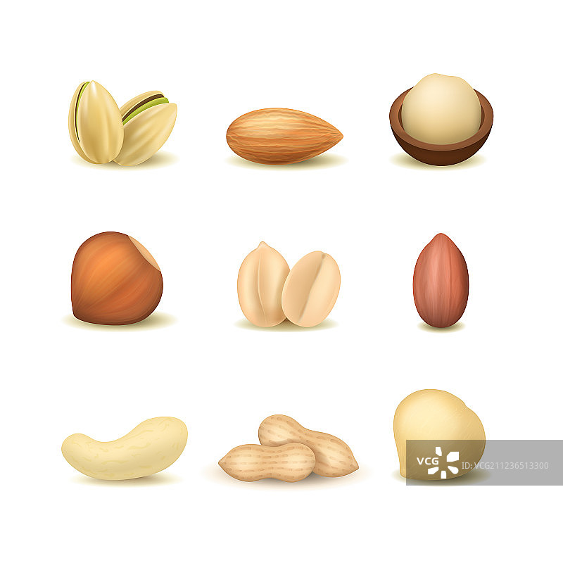 逼真3D各种坚果套装图片素材