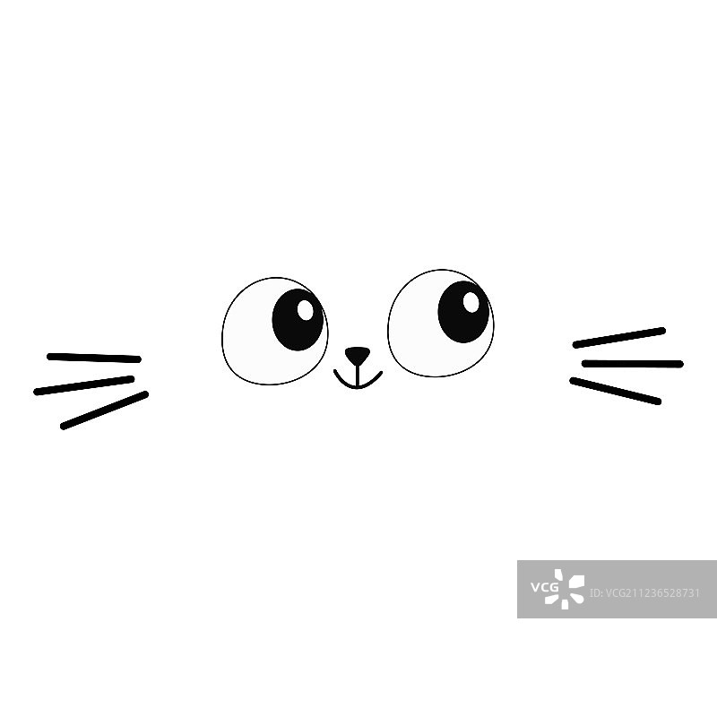 猫眼睛胡须头部脸部轮廓正方形图片素材