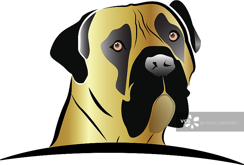 马士提夫犬头像标志图片素材