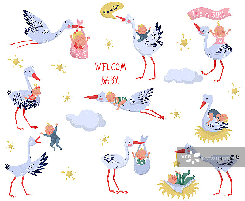 扁平风格的白鹳和幼鸟图片素材